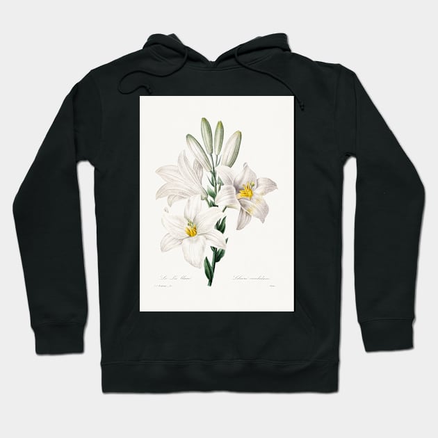 whiteflower painting (1827) by Pierre-Joseph Redouté Hoodie by T-SHIRT-2020